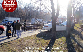 Заважало дерево: у Києві жінка не впоралася з керуванням і вилетіла з дороги