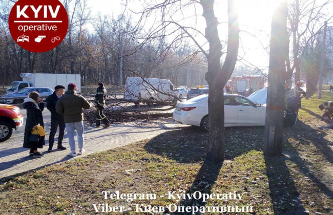 Заважало дерево: у Києві жінка не впоралася з керуванням і вилетіла з дороги
