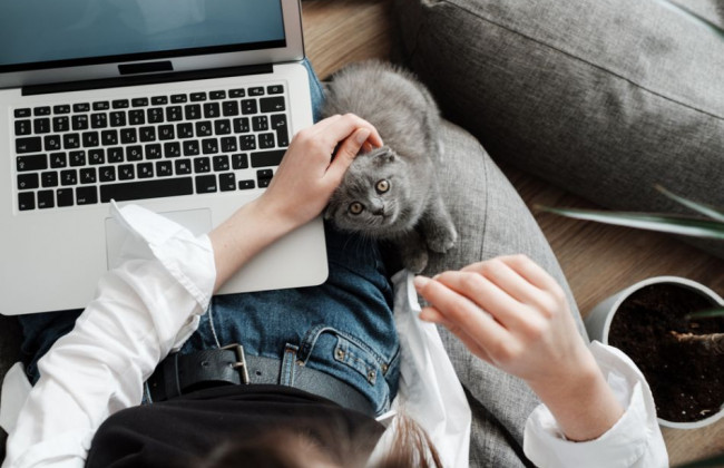 Работать из офиса можно только один день в неделю: Бельгия усилила карантин