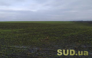 Ринок землі: назвали кількість правочинів в регіонах