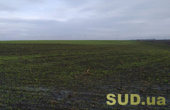 Ринок землі: назвали кількість правочинів в регіонах