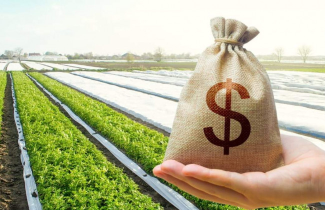 Верховний Суд розглянув справу про зобов’язання державного реєстратора здійснити реєстрацію припинення права оренди земельної ділянки