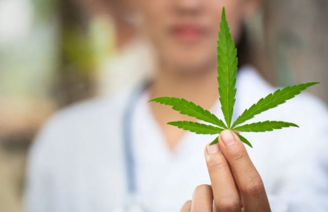 Настойку канабісу дозволять придбавати виключно через електронний рецепт: МОЗ оприлюднило законопроект для громадського обговорення