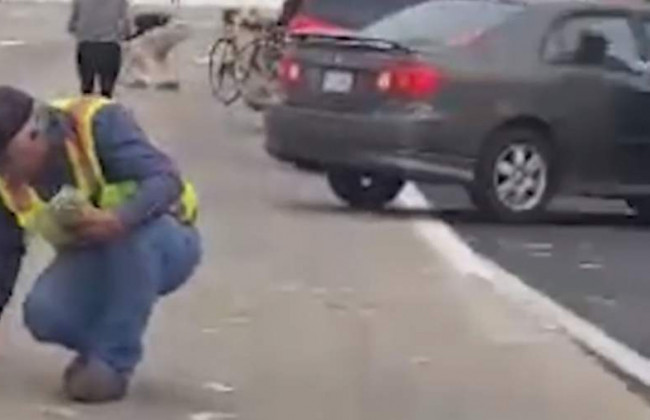 Тысячи долларов высыпались из фуры на трассе в Сан-Диего: видео