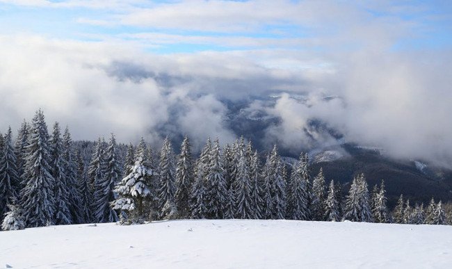 Минусовая температура и снег: в Карпаты пришла зима, фото