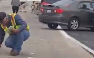 Тысячи долларов высыпались из фуры на трассе в Сан-Диего: видео