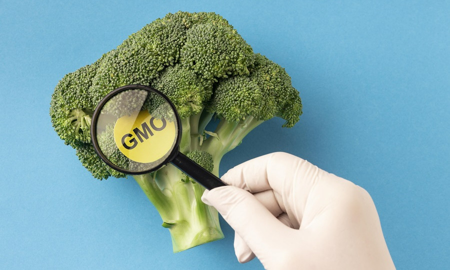 Небезпечні недоліки законопроекту про ГМО: на що звертають увагу Комітет Ради та ГНЕУ