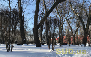 Когда в Киев придет зима и появится снежный покров: подробности