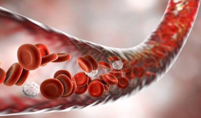 Як COVID-19 впливає на тромбоз: у МОЗ розповіли про ризики та фактори утворення