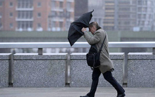 У Києві очікуються сильні пориви вітру: оголошено перший рівень небезпеки