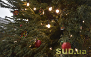 Когда в Киеве начнут продавать новогодние елки