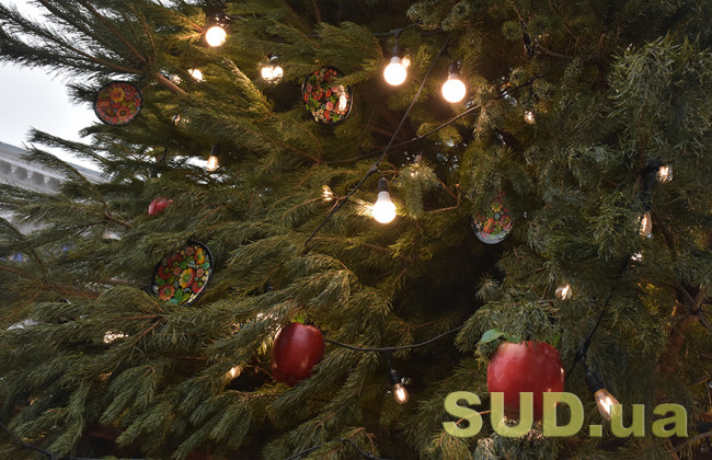 Когда в Киеве начнут продавать новогодние елки