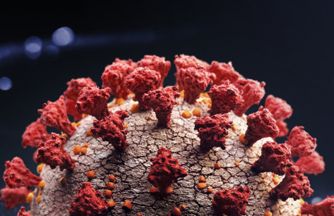 Новый вариант Covid: насколько опасен и защитят ли вакцины