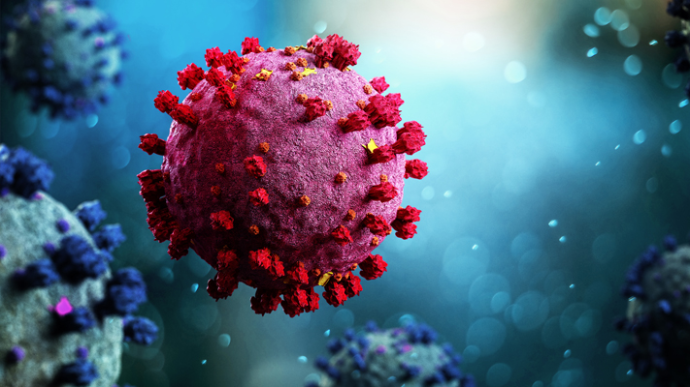 ВОЗ присвоила новому штамму коронавируса из ЮАР название «Омикрон»