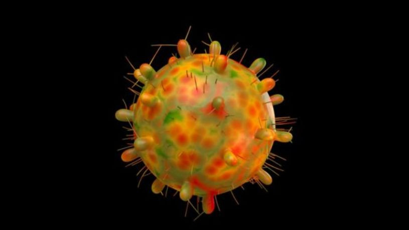 Прошел около 50 мутаций: чем опасен штамм коронавируса, который обнаружен в ЮАР