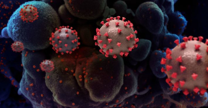 Легко обходит иммунную систему: ученые опасаются штамма «Омикрон»