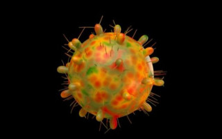 Прошел около 50 мутаций: чем опасен штамм коронавируса, который обнаружен в ЮАР