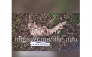 На Миколаївщині поліція знайшла рештки тіла в автомобілі