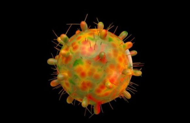Прошел около 50 мутаций: чем опасен штамм коронавируса, который обнаружен в ЮАР