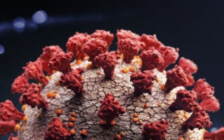 Стало известно, чем коварен штамм «Дельта плюс»