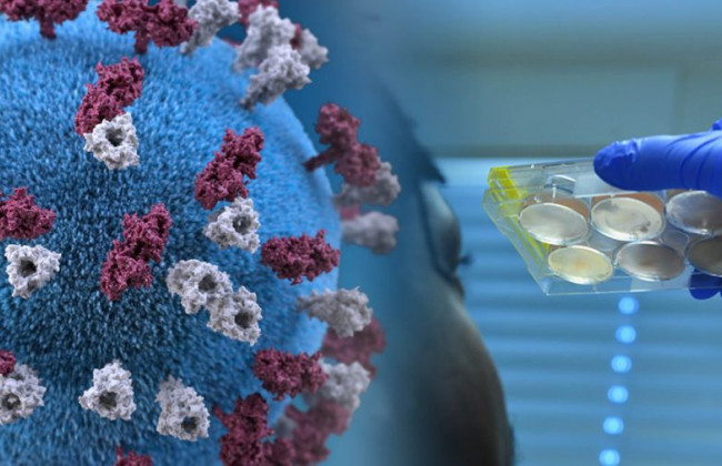 Нарушение слуха, температура и боль в мышцах: назвали актуальные симптомы коронавируса