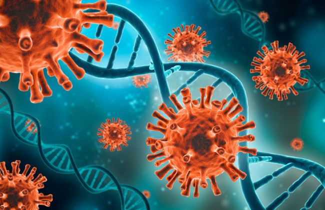 Более агрессивный: в ЕС заявили о высокой степени риска штамма «омикрон»