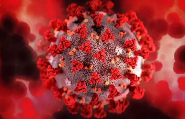 Назвали 5 самых опасных штаммов коронавируса