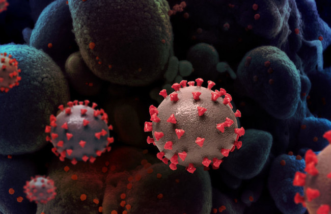 Ученые узнали, как убить коронавирус за 2 секунды