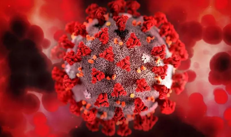 Назвали 5 самых опасных штаммов коронавируса