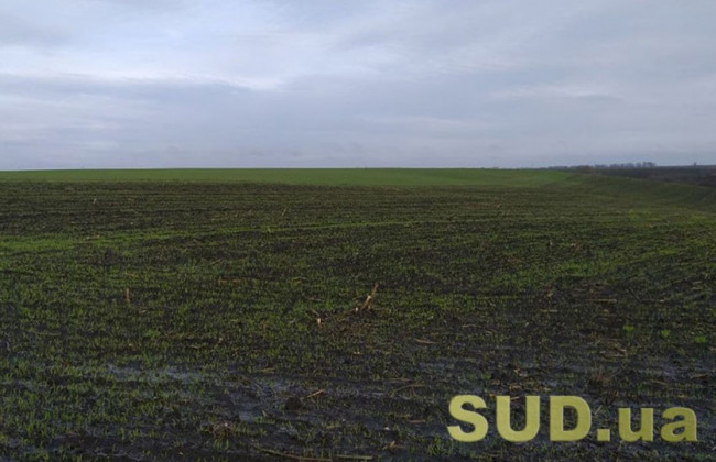 Ринок землі: українцям відповіли на головні питання