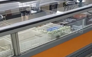 Марафон мышей по полуфабрикатам: в Запорожье животное бежало по продуктам в супермаркете