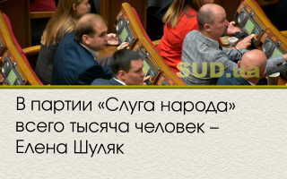В партии «Слуга народа» всего тысяча человек – Елена Шуляк