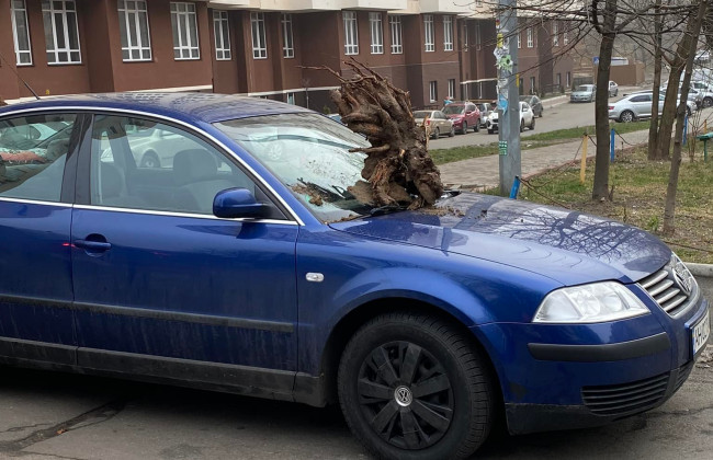 В Киеве на лобовое стекло автомобиля бросили огромный пень