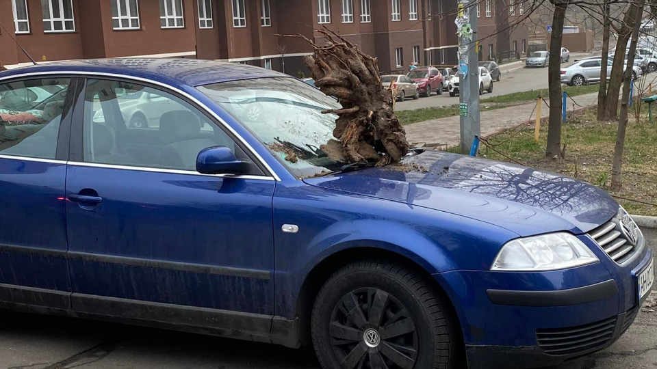 В Киеве на лобовое стекло автомобиля бросили огромный пень