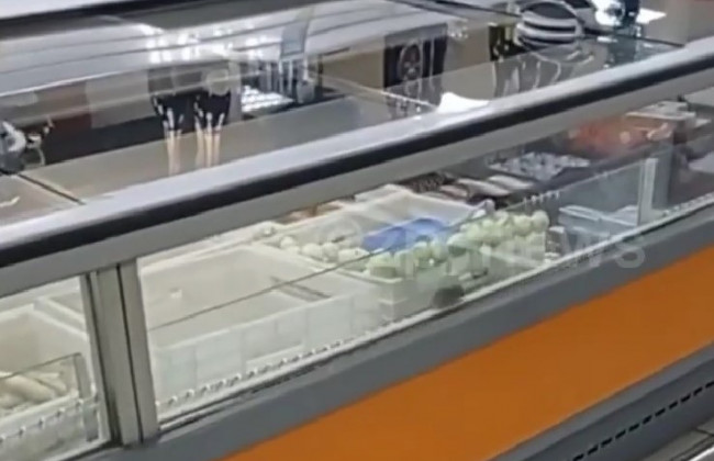 Марафон мышей по полуфабрикатам: в Запорожье животное бежало по продуктам в супермаркете