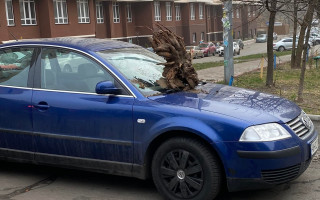 В Киеве на лобовое стекло автомобиля бросили огромный пень