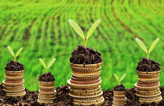 Плата за землю замість земельного податку: що зміниться для власників земельних ділянок