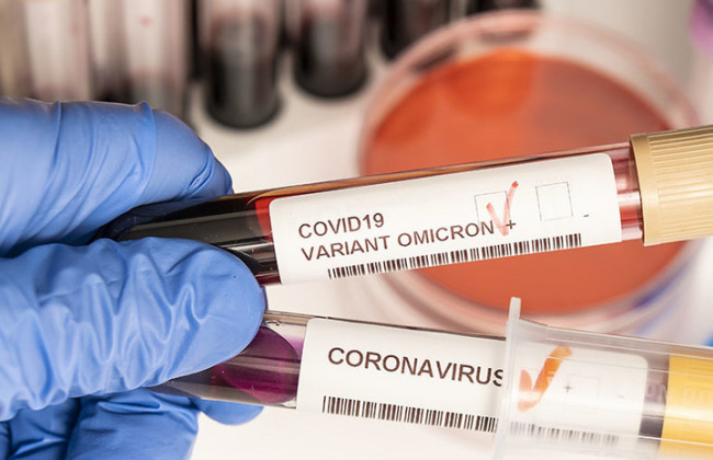 Новый штамм коронавируса «Омикрон» быстро вытеснит «Дельту»: что известно