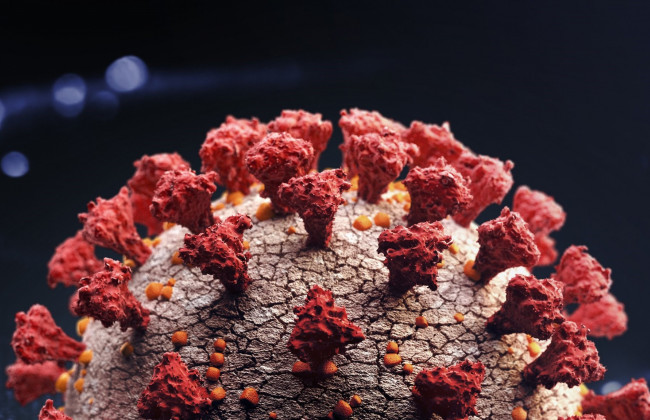 Новый вариант Covid: насколько опасен и защитят ли вакцины