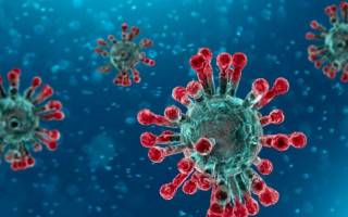 В ВОЗ обеспокоены мерами в отношении штамма «Омикрон»