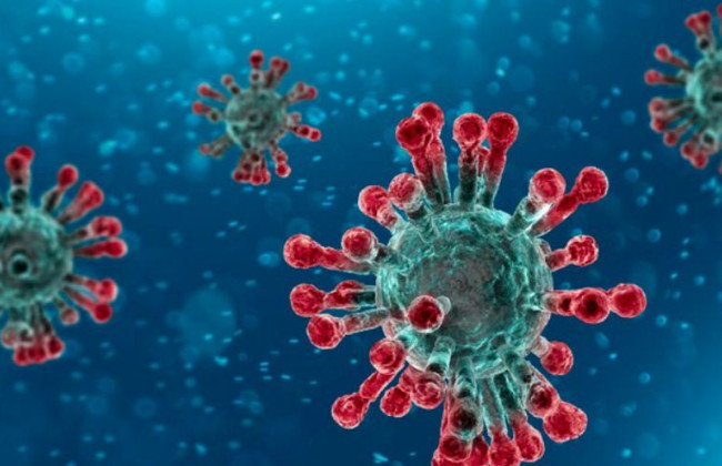 В ВОЗ обеспокоены мерами в отношении штамма «Омикрон»