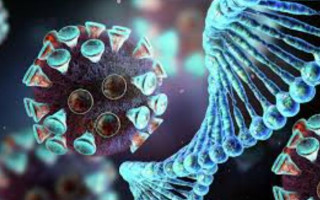 Стало известно, когда раскроют тайну штамма «Омикрон»