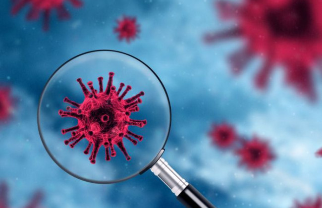 Штамм «Омикрон» быстрее всех проникает в клетку: что говорят генетики