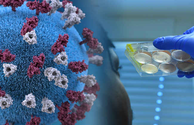 Кислород-убийца: найден новый способ борьбы с COVID-19