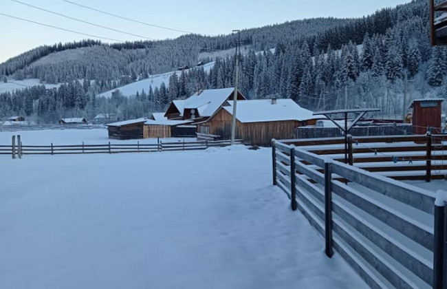 На Буковине села замело снегом, а температура упала до -20
