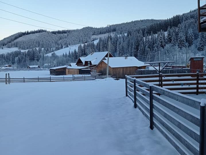 На Буковине села замело снегом, а температура упала до -20