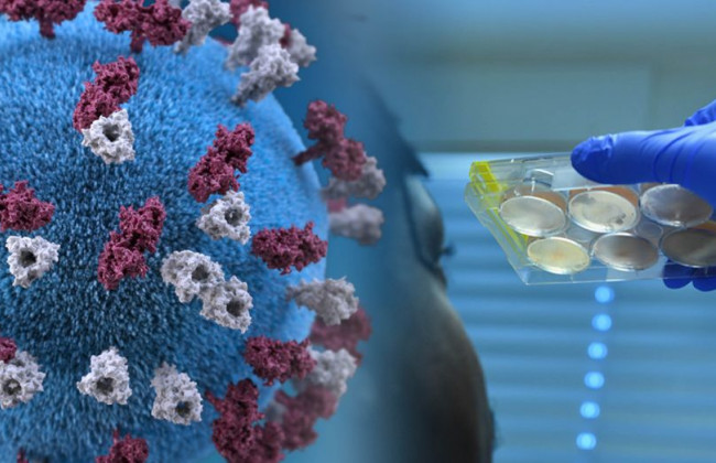 Иммунолог назвал главную проблему с коронавирусом