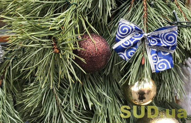 В Киеве будут продавать новогодние елки: назвали цены