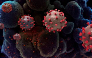 Ученые объяснили важный аспект штамма «Омикрон»