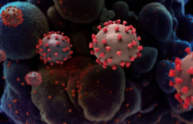Ученые объяснили важный аспект штамма «Омикрон»